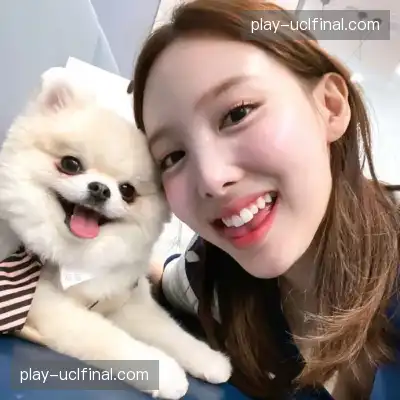 韩雪